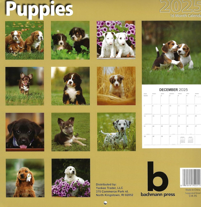 2025 Puppies Full Size Wall Calendar