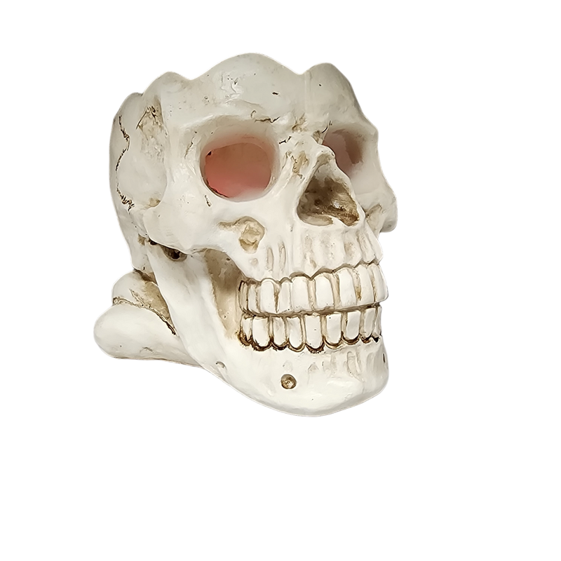 Lighted Smoking Skull