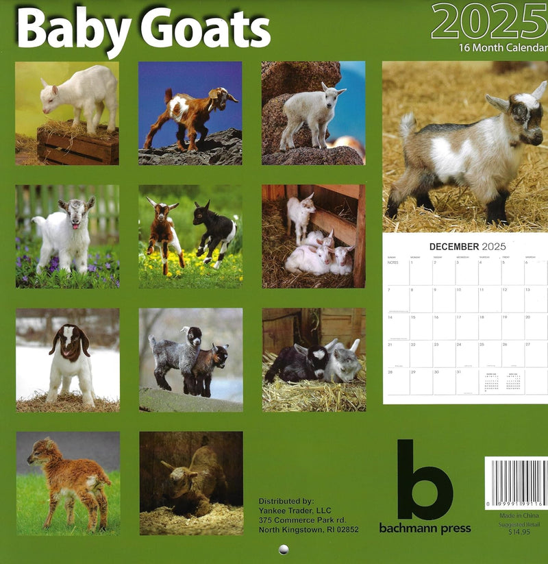 2025 Baby Goats Full Size Wall Calendar