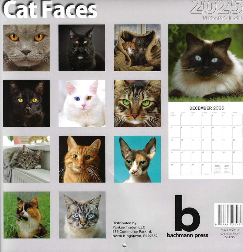 2025 Cat Faces Full Size Wall Calendar