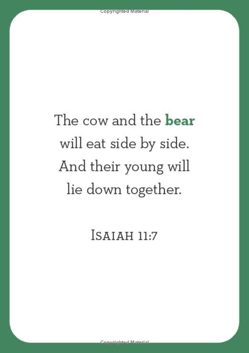 Bible Animal Flash Cards