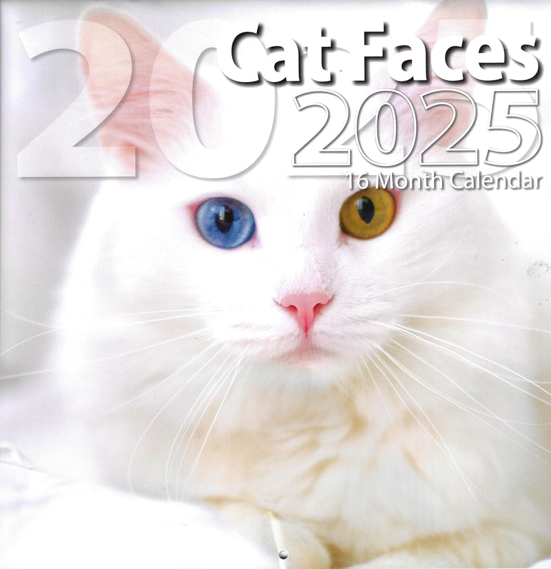 2025 Cat Faces Full Size Wall Calendar