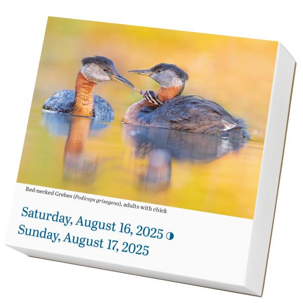 365 Dogs Page-A-Day Calendar 2025: Audubon Birds