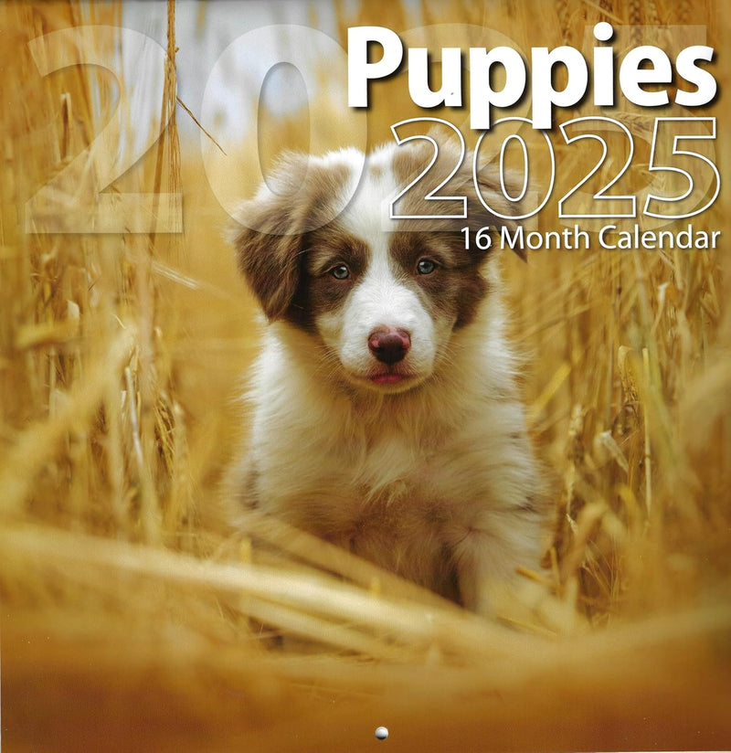 2025 Puppies Full Size Wall Calendar