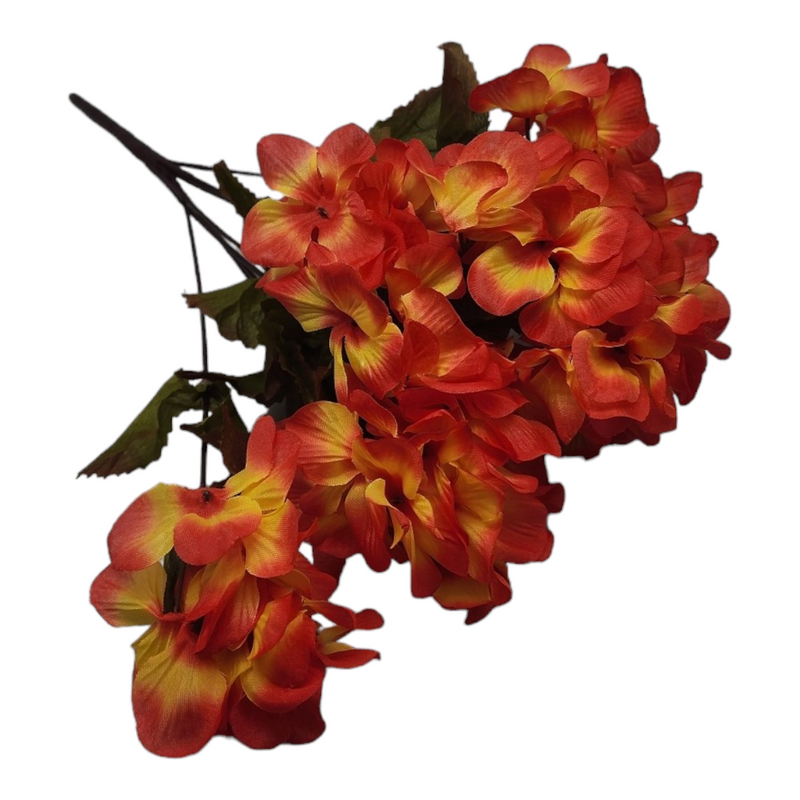 Autumn Hydrangea Bush -