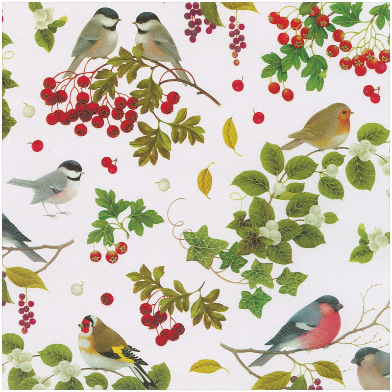 Winter Birds White Gift Wrap - 30" x 8' Roll