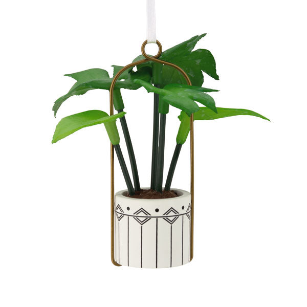 Hanging Plant Ornament