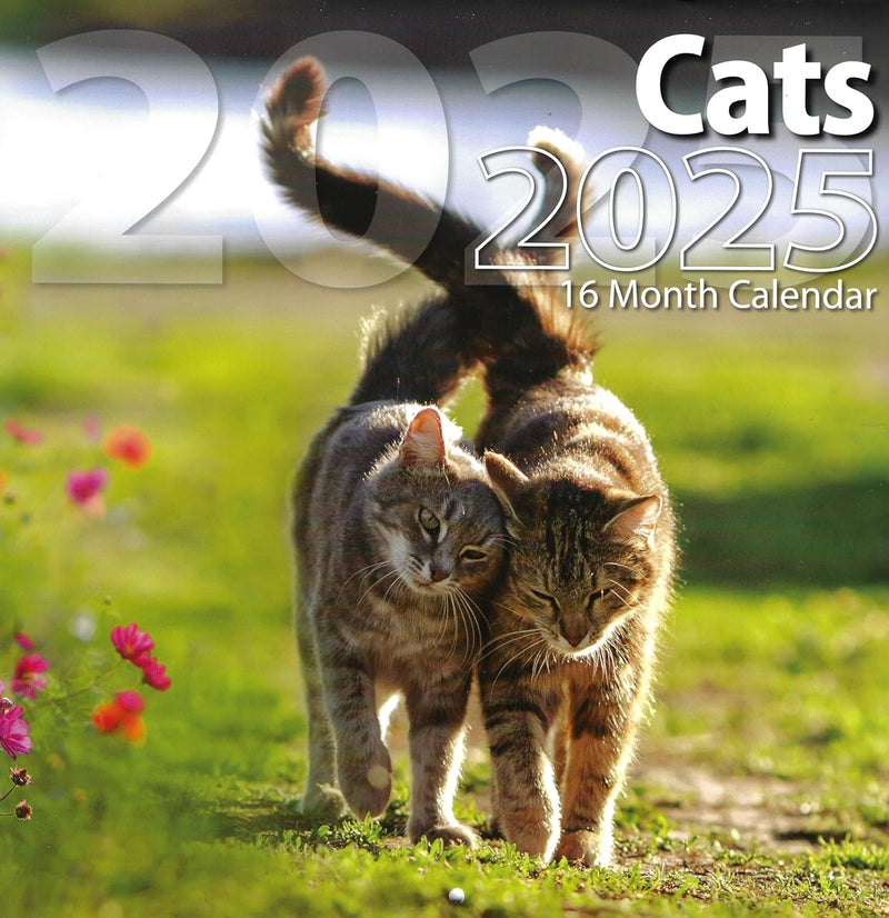 2025 Cats Full Size Wall Calendar