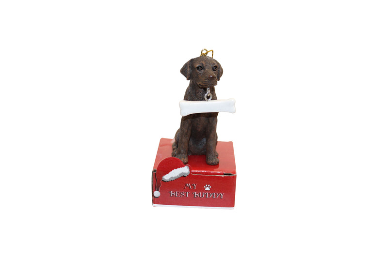 Chocolate Labrador with Bone Ornament