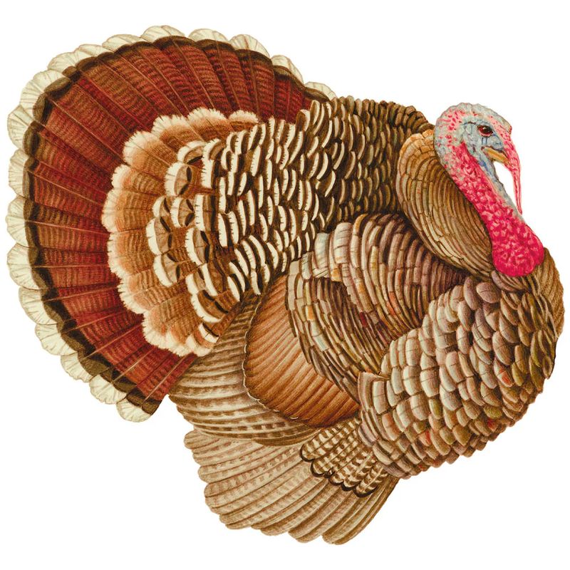 Diecut Turkey Paper Placemat - Set of 12