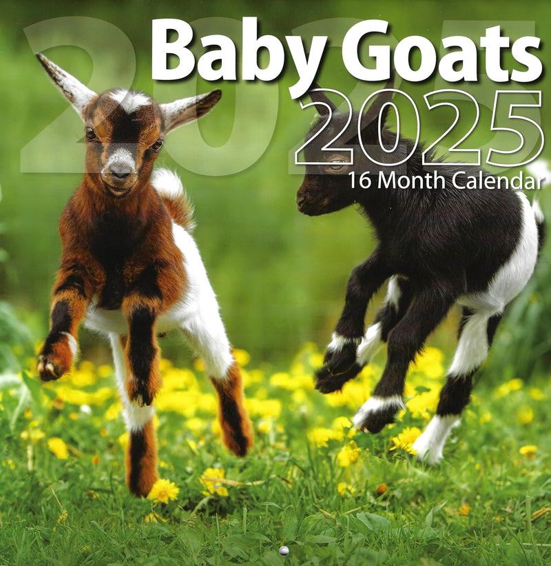 2025 Baby Goats Full Size Wall Calendar