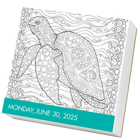 Calm Coloring Page-A-Day® Calendar 2025: A Year of Zendoodle® Patterns