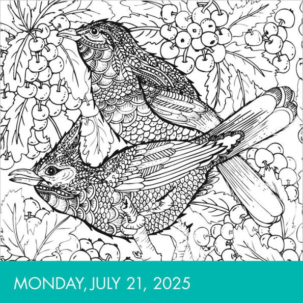 Calm Coloring Page-A-Day® Calendar 2025: A Year of Zendoodle® Patterns