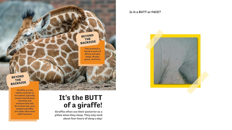 Butt or Face? Volume 2: Revenge of the Butts Hardcover – Picture Book