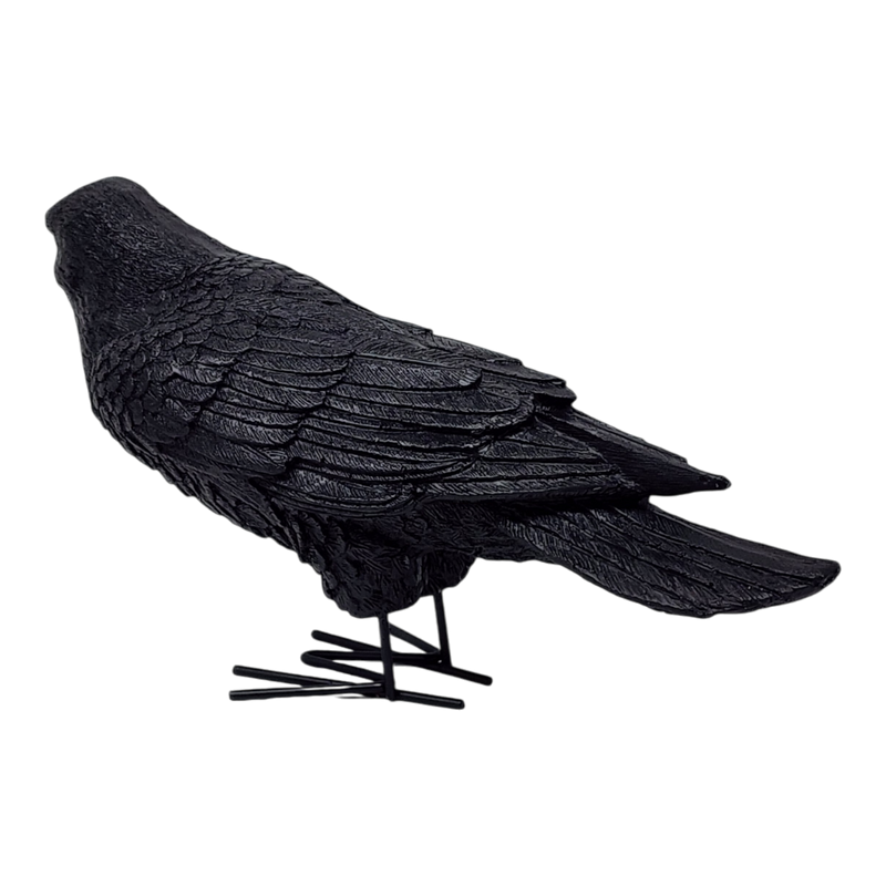 Fright Night Crow - Looking Ahead