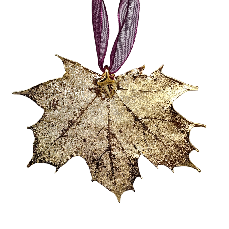 Gold Sugar Maple Leaf with Sheer Ribbon Ornament