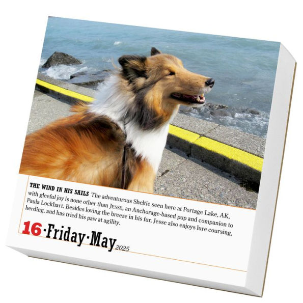 365 Dogs Page-A-Day Calendar 2025: The World's Favorite Dog Calendar