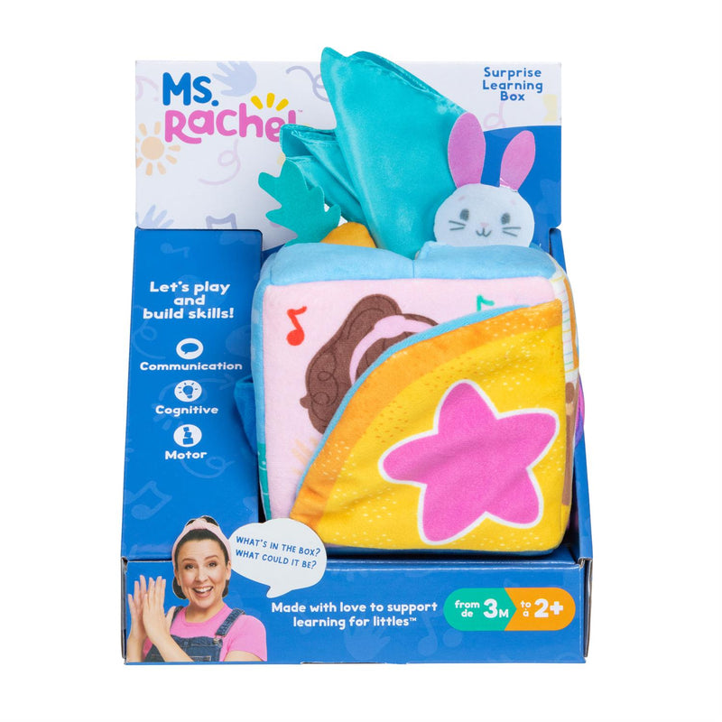 Ms Rachel Surprise Learning Box