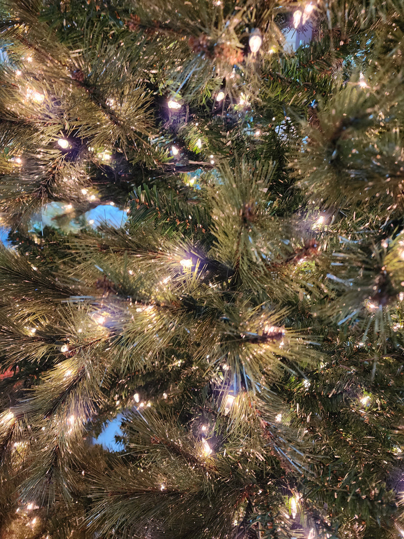 9 Foot Scotch Pine Tree - 1500 Clear Lights