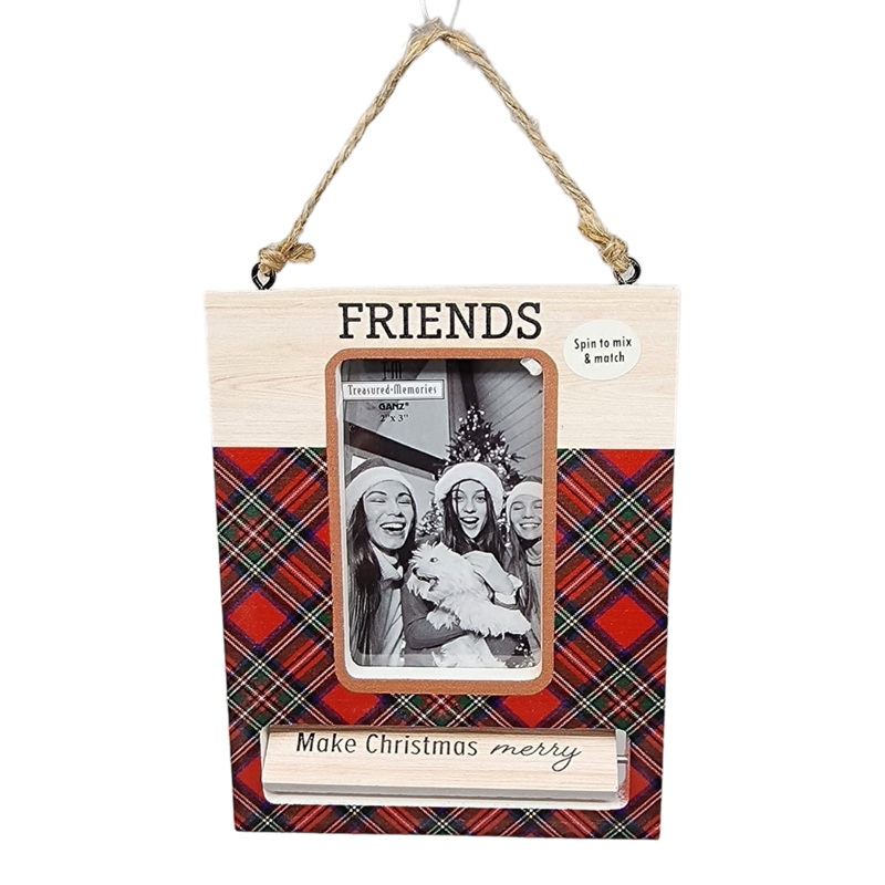 Spinning Frame Ornament - Friends