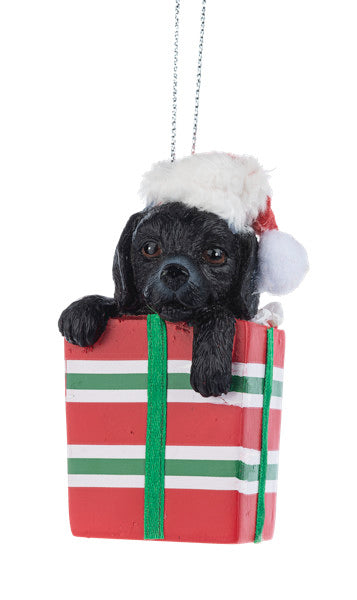 Comfy & Cozy Pet Ornament -  Black Lab