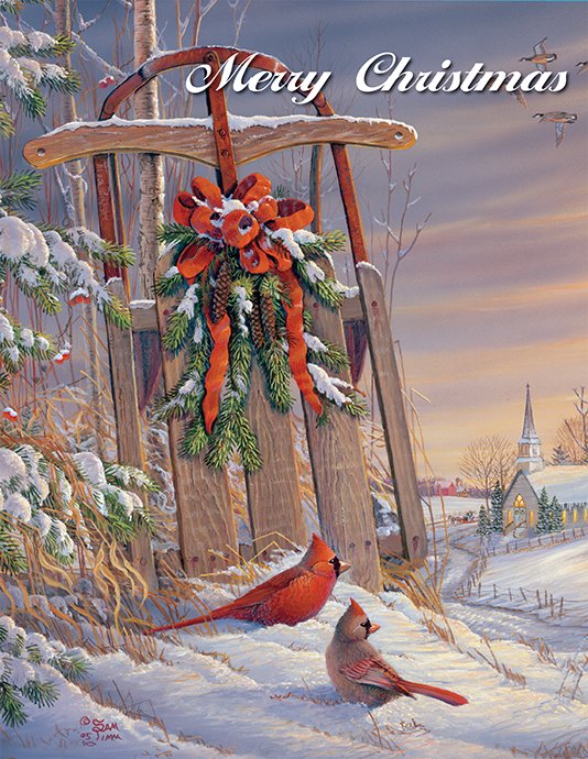 Wintertime Cardinal Boxed Christmas Cards