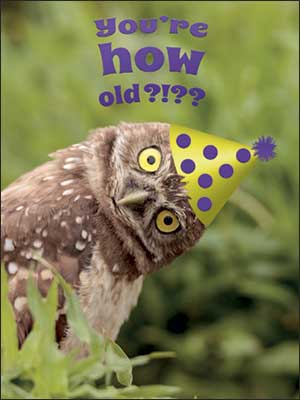 Birthday Card - Owl You're How Old - The Country Christmas Loft