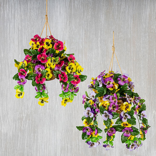 Trailing Pansy Flowers in 8" Hanging Bamboo Basket -