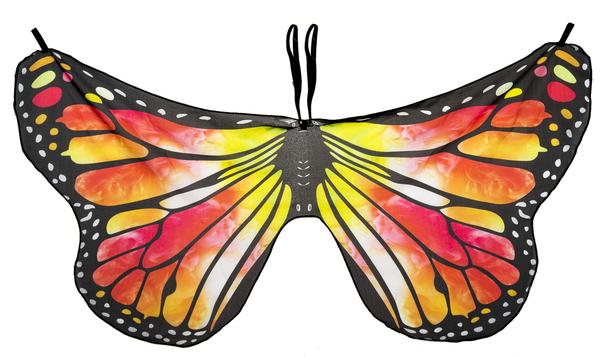 Costume Butterfly Wings