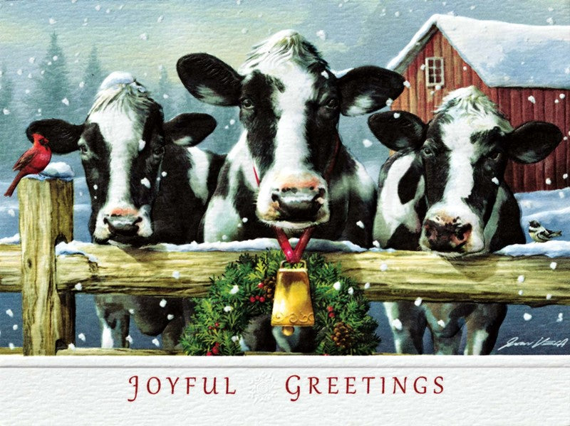 Holstein Hello  Petite Boxed Cards - The Country Christmas Loft