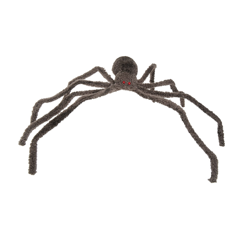 Brown Spider