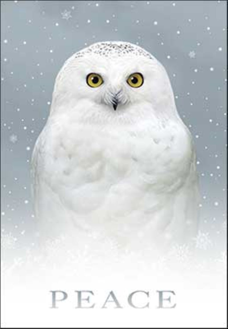 Peace Owl - Boxed Christmas Cards - The Country Christmas Loft