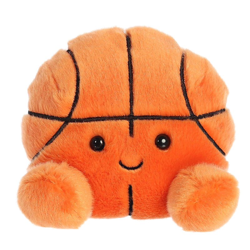 Hoops Basketball  Palm Pal