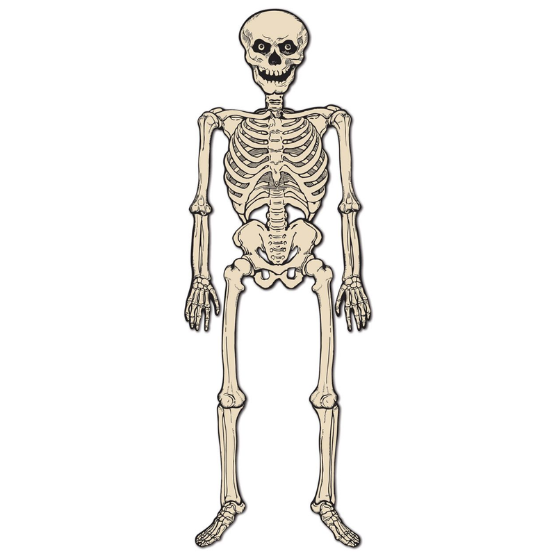 Vintage Halloween Jointed Skeleton - 4 Feet Tall